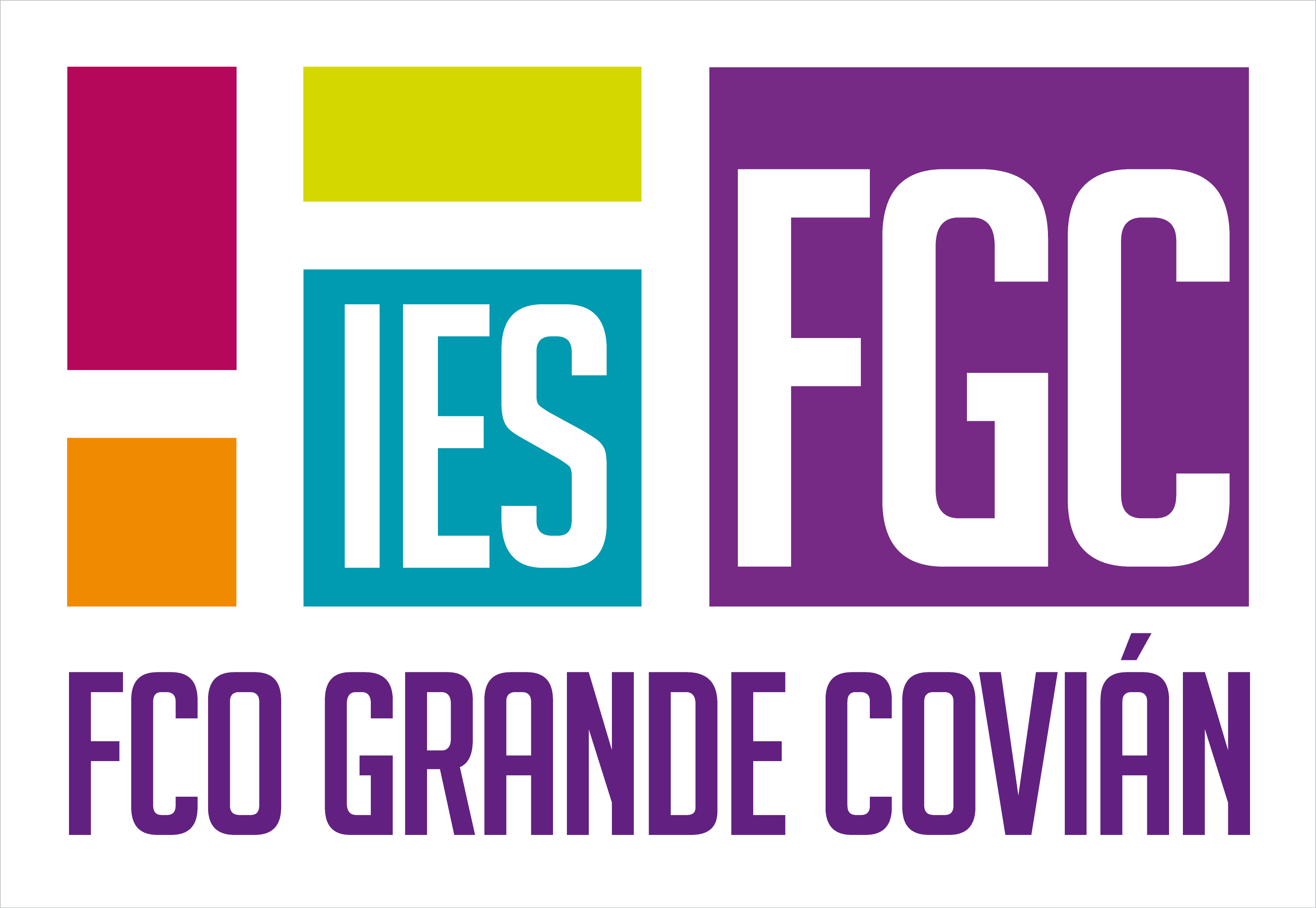 Logo IES
